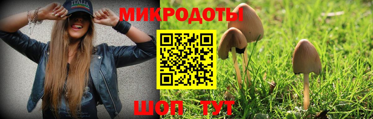 Каменка  что такое   Вход с VPN  Псилоцибиновые грибы MAGIC MUSHROOMS 