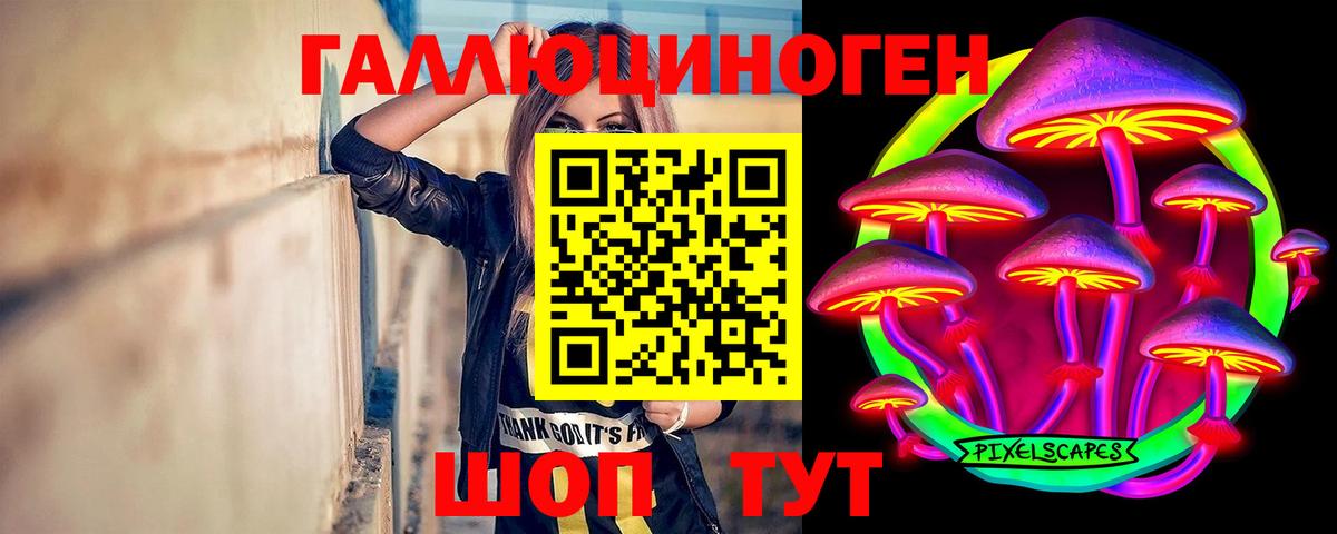 Псилоцибиновые грибы Psilocybe Каменка